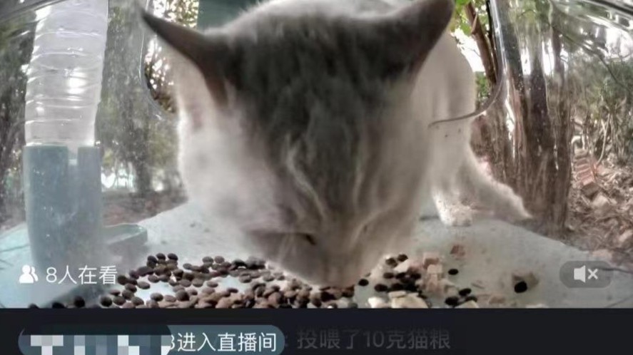 “云投喂”莫让爱心陷骗局