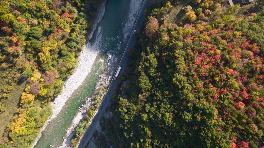 UNESCO adds 26 new biosphere reserves, including 2 in China