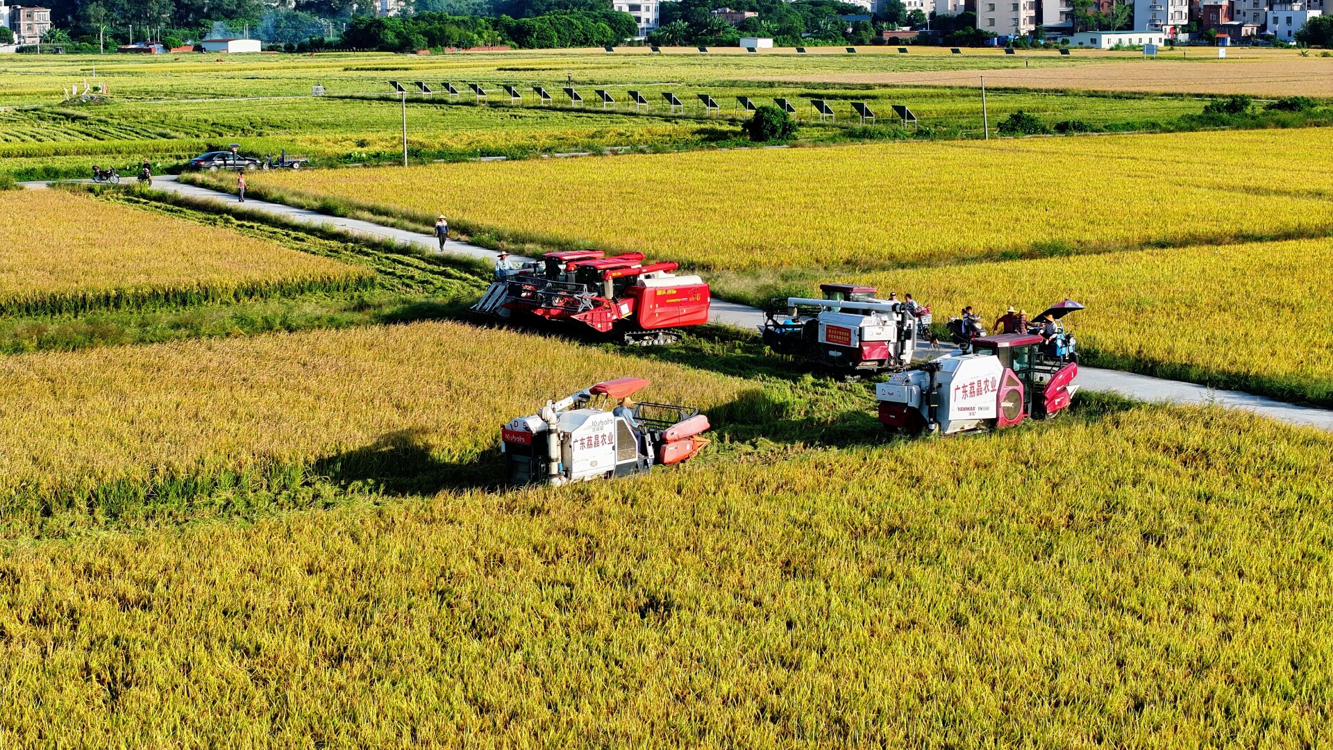Maoming's "Nine Measures" drive 26% growth in village collective economy