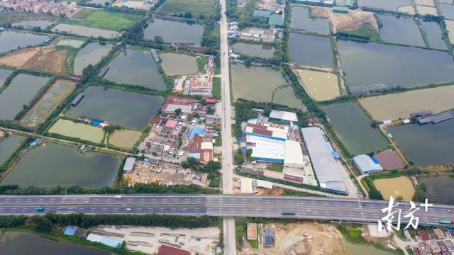 如今,四会西合村高速贯通,当初移民过来的三峡儿女已经适应这里的岭南水乡生活。 如今,四会西合村高速贯通,当初移民过来的三峡儿女已经适应这里的岭南水乡生活。