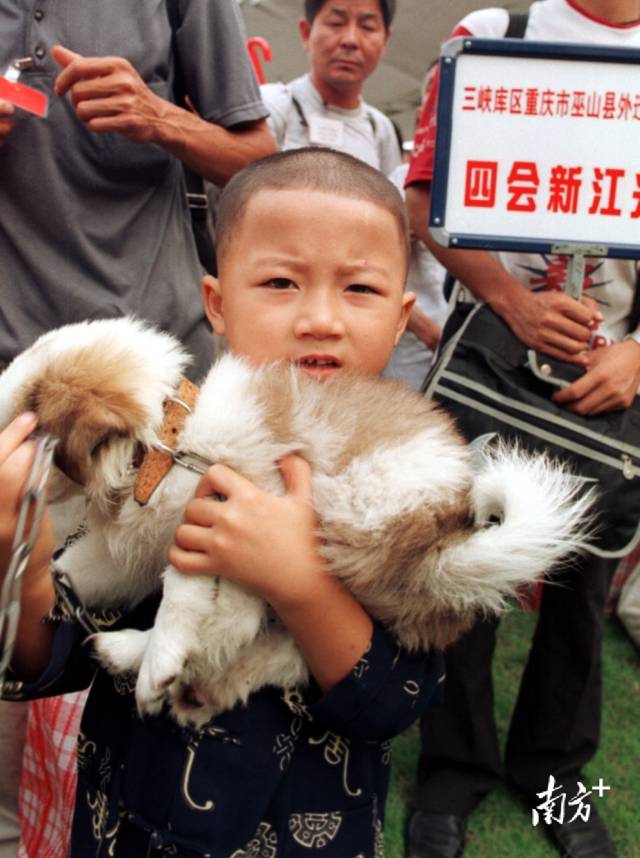 2001年8月5日,一名三峡小移民带上了心爱的小狗,抵达广东四会。 2001年8月5日,一名三峡小移民带上了心爱的小狗,抵达广东四会。