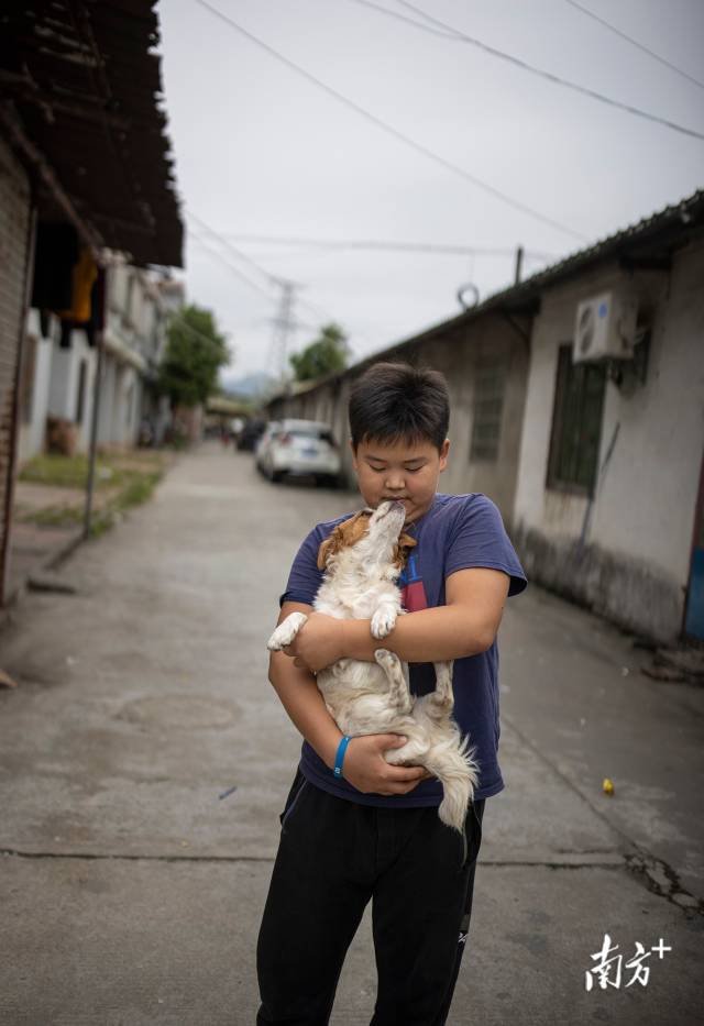 四会市东城街道新昌村,11岁的李晨熙正在逗自家的小狗,他在移民村出生长大。 四会市东城街道新昌村,11岁的李晨熙正在逗自家的小狗,他在移民村出生长大。