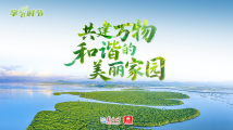 学习时节|共建万物和谐的美丽家园 学习时节|共建万物和谐的美丽家园