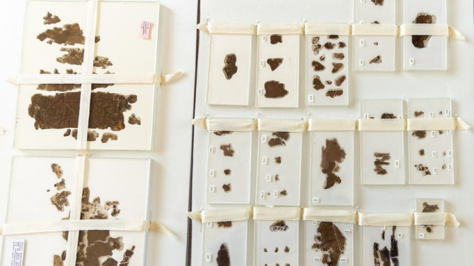 Homecoming of two looted ancient artifacts: how does it matter for China?