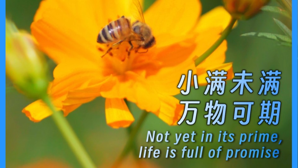 Not yet in its prime, life is full of promise
