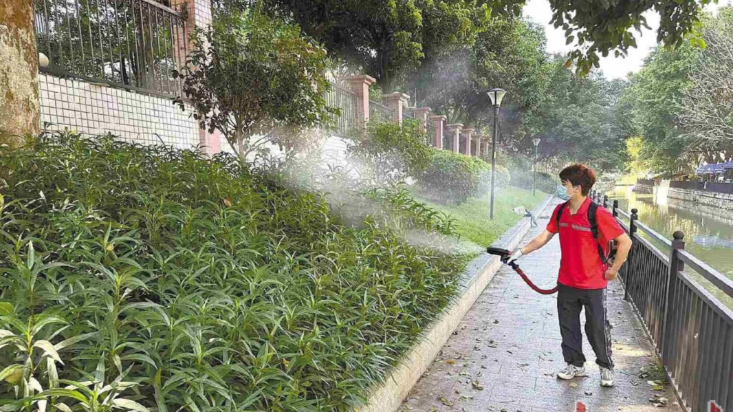 Guangdong sees decline in new chikungunya cases