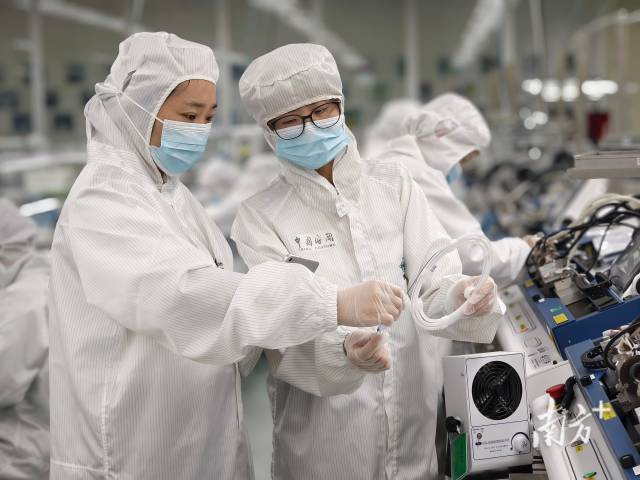 深圳海关运用差异化合格评定方式分级分类验放医疗器械。 伍紫阳 摄