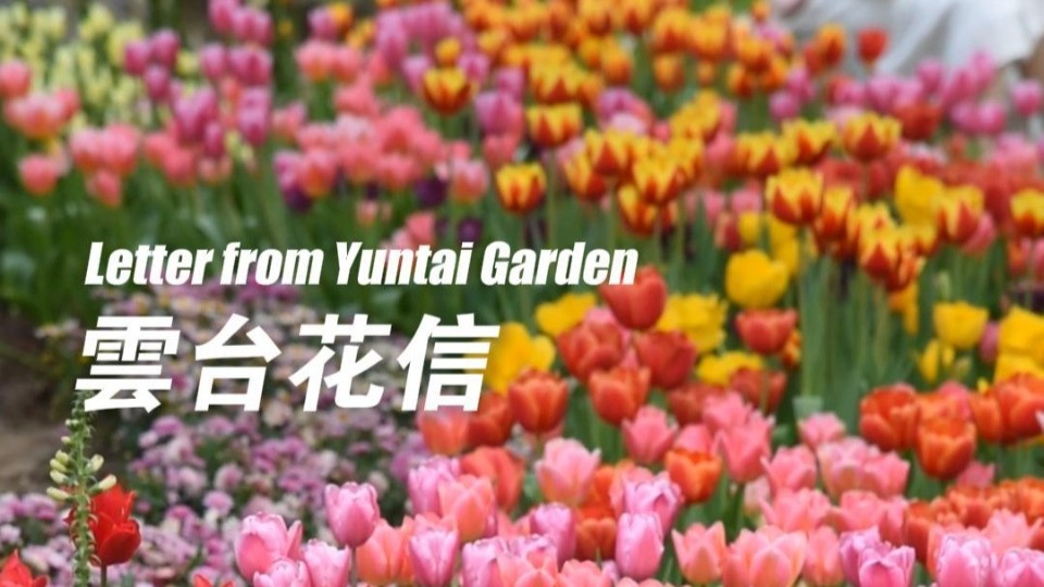 Letter from Yuntai Garden