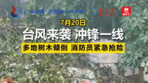 台风来袭,多地树木倾倒,消防紧急救援! 台风来袭,多地树木倾倒,消防紧急救援!
