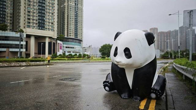 香港巨型大熊猫玩偶被台风“韦帕”吹飞