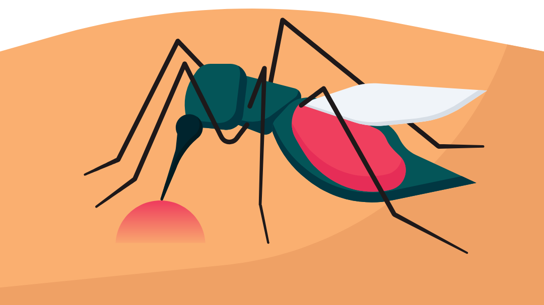 Time to take Chikungunya fever seriously!