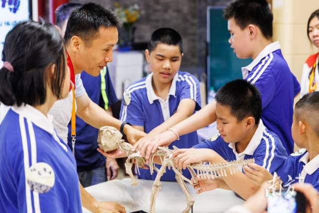 广东省博物馆内，启明学校视障学生通过触摸教具和口述影像讲解了解恐龙骨架的构造。