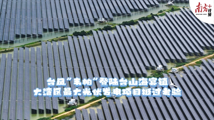 台风“韦帕”登陆江门台山海宴镇，大湾区最大光伏发电项目挺过考验