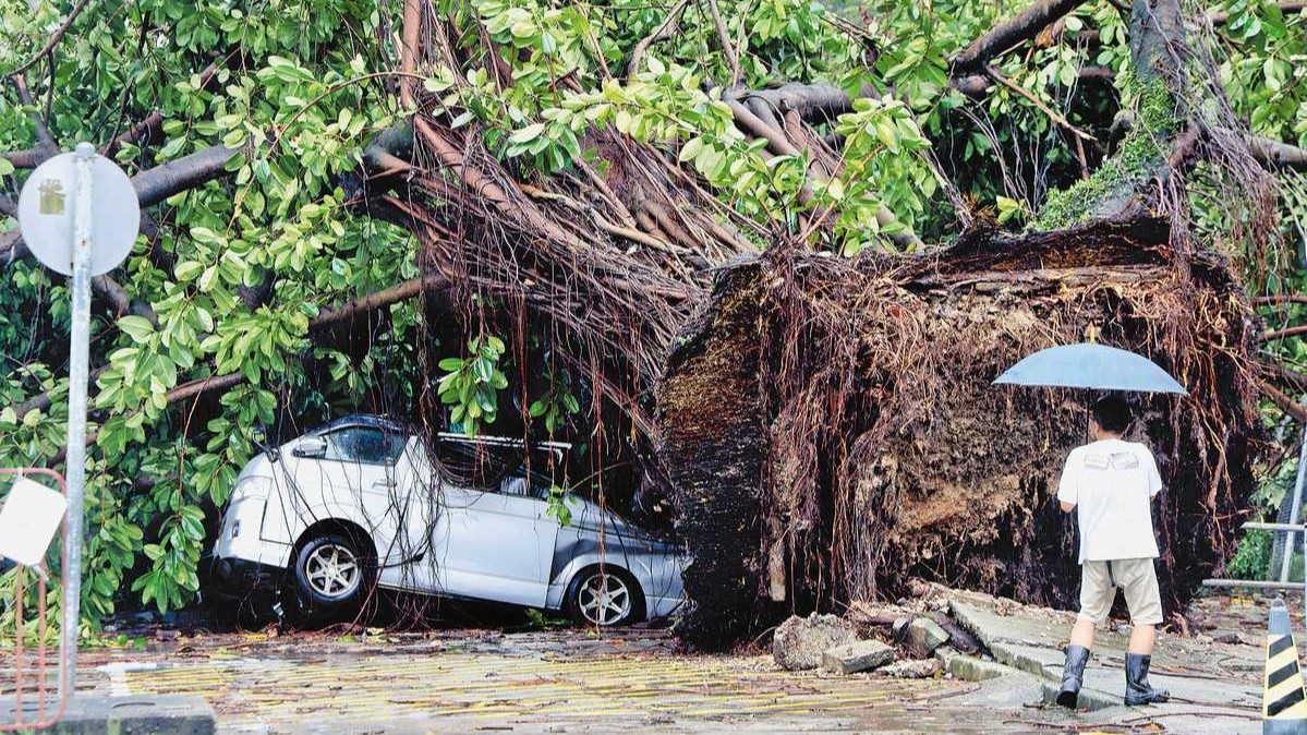 Typhoon Wipha pummels Guangdong province