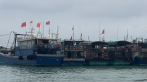 所有渔船回港避风!广东省三防办要求做好台风防御工作 所有渔船回港避风!广东省三防办要求做好台风防御工作