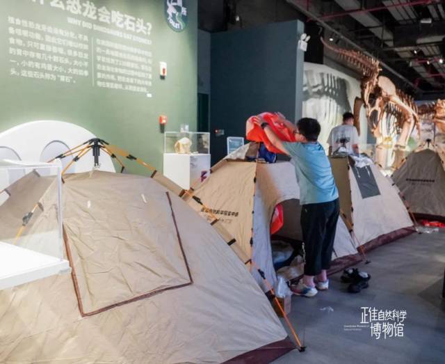 正佳自然科学博物馆推出夜探计划。图源官方微信公众号
