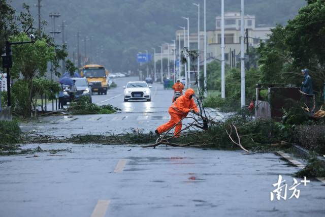 工作人员正在清理倒下的树木。 工作人员正在清理倒下的树木。