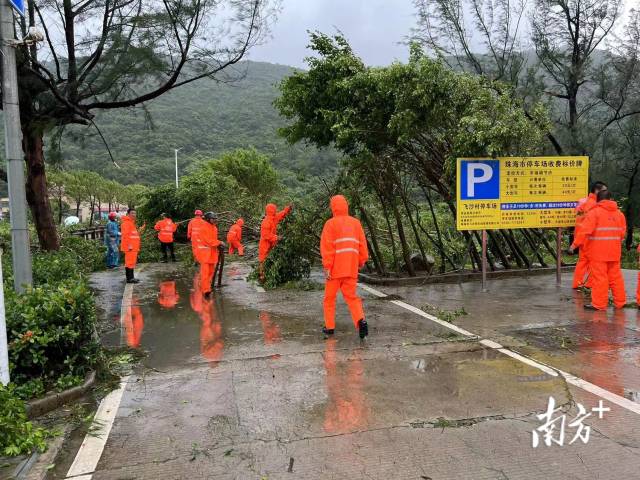 工作人员正在清理倒下的树木。 工作人员正在清理倒下的树木。