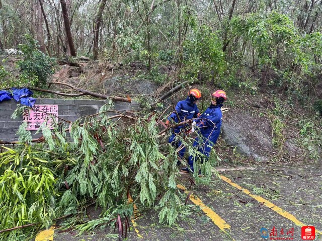 消防员清理倒伏树木