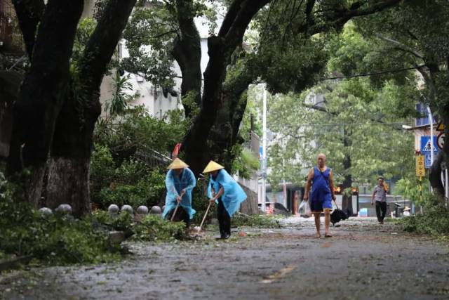 在珠海香洲区园山路，环卫工人快速清理树路障，以便居民出行。图源：珠海特区报