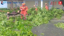汕尾:道路受阻,路段积水,消防员迅速出动清障排水 汕尾:道路受阻,路段积水,消防员迅速出动清障排水