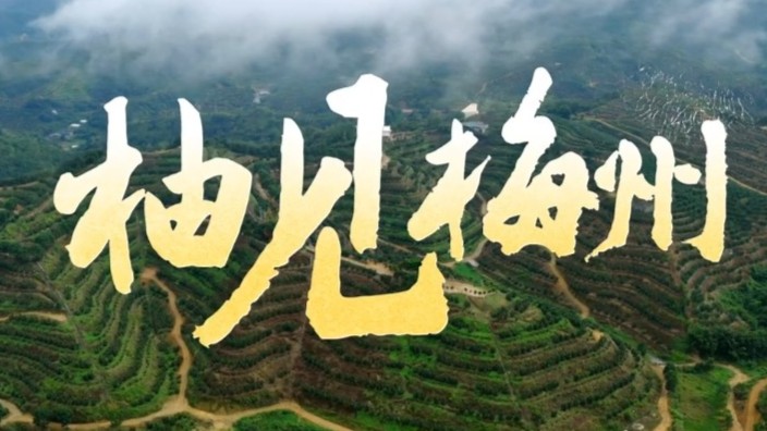 柚见梅州