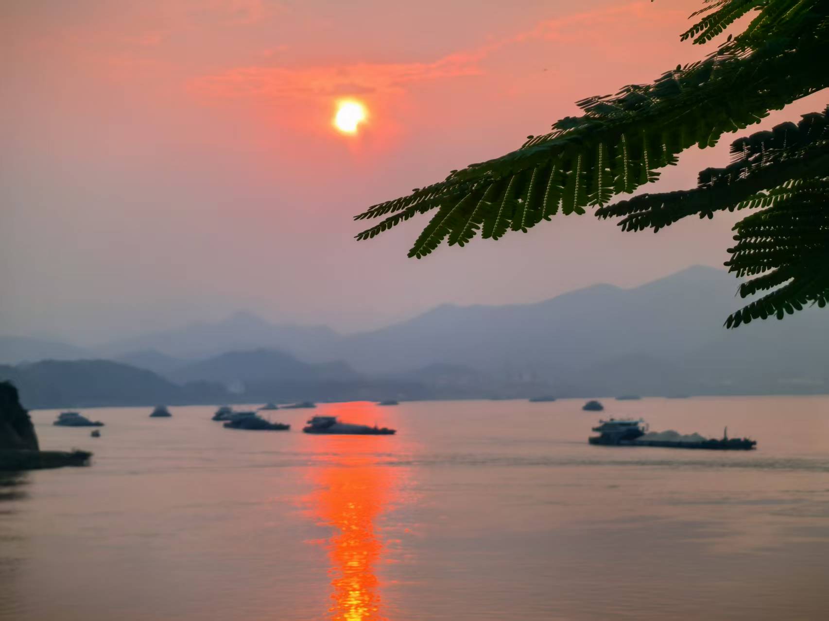 “百千万工程” 三年初见成效丨云安区都杨镇：以“水”为媒，以“舌”为韵，激“活”文旅新势能！