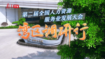 广州南沙引入人力资源服务行业全链条 助力打造湾区人才高地丨第二届全国人力资源服务业大会·湾区调研行 广州南沙引入人力资源服务行业全链条 助力打造湾区人才高地丨第二届全国人力资源服务业大会·湾区调研行