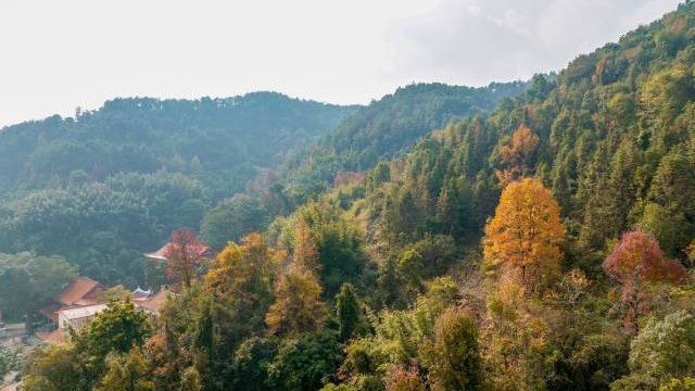 Yunfu set as terrestrial wildlife sanctuary with year-round hunting ban