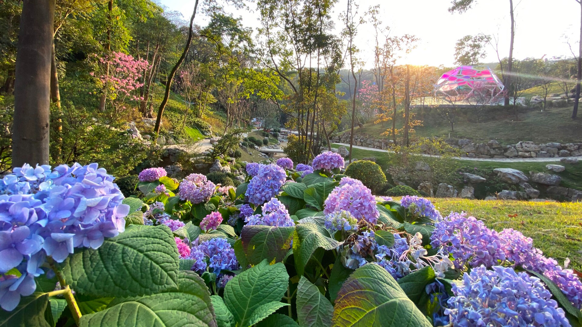 Yunluo Botanical Garden opens on November 29