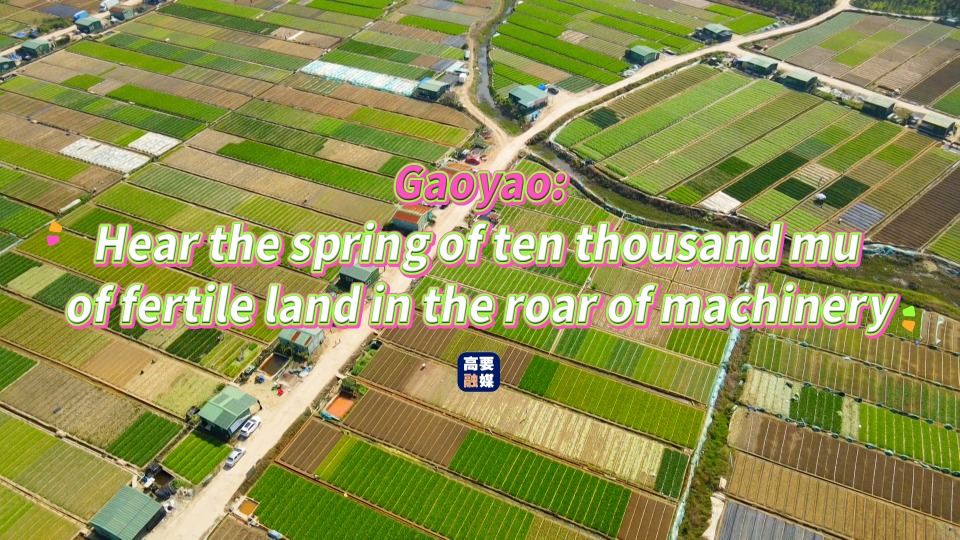 Machinery roar among the farmland shows the spring of Zhaoqing's Gaoyao