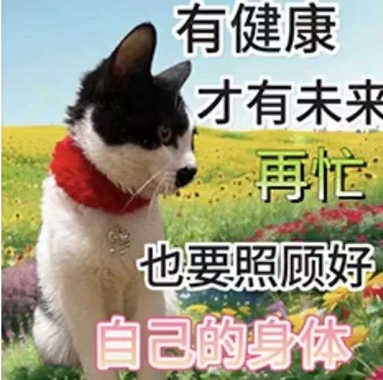 微信图片_20240613101334.jpg
