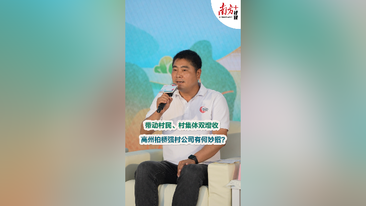 带动村民、村集体双增收，高州柏桥强村公司有何妙招？