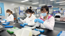 基因递送哪家强?广州黄埔可实现“乐高化”定制|高质量发展看中国 基因递送哪家强?广州黄埔可实现“乐高化”定制|高质量发展看中国