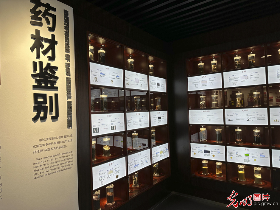 【高质量发展看中国】智能化、数字化激发中医药高质量发展新动能