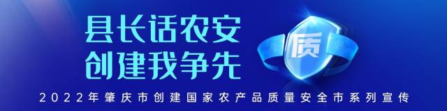 南方农村报 卓倩 拍摄