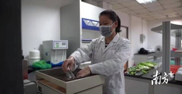 农产品质量安全监管精细化。