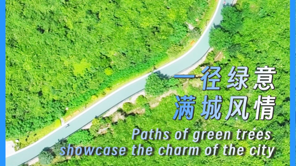 Paths of green trees showcase the charm of the city