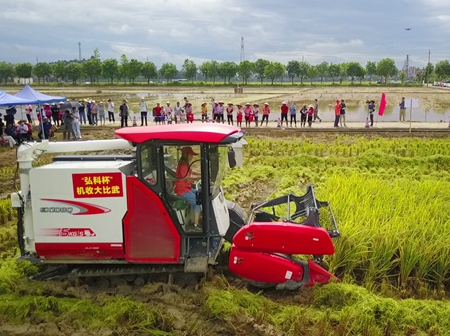 守牢粮食安全底线 端牢14亿多中国人的饭碗