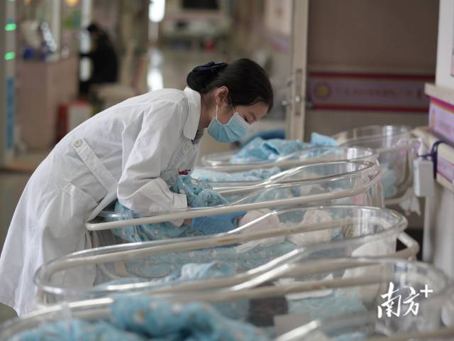 近年来，广东省妇幼保健院的分娩量呈稳中有升的趋势。