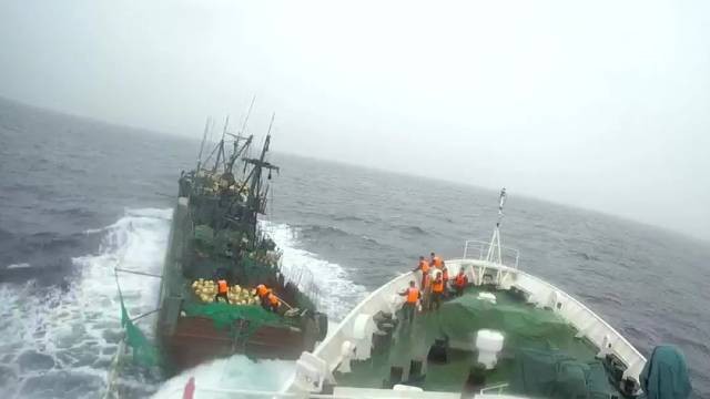 故意沖撞石山艦！中國海警通報：抓獲違法嫌疑人17名