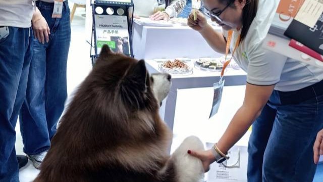 第29届中国国际宠物水族展览会在广州举办