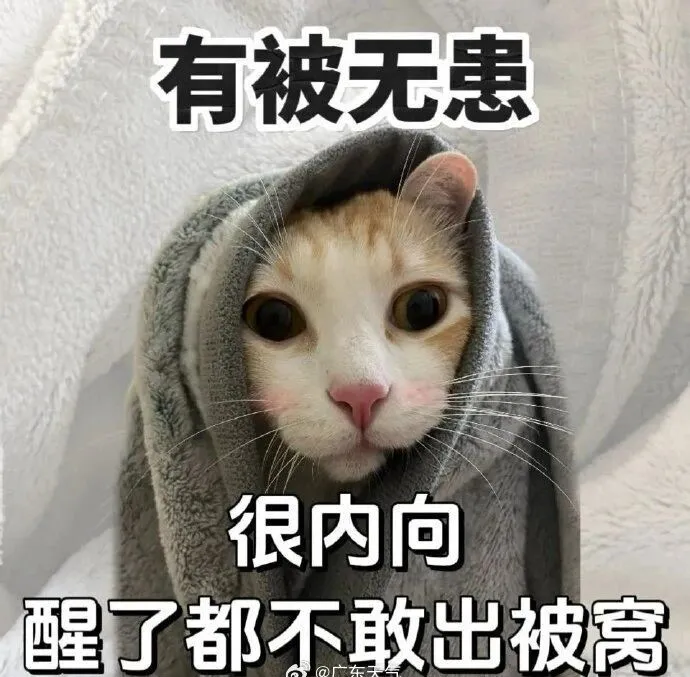 今天是广东多地入秋以来最冷的早晨，气温即将回升……