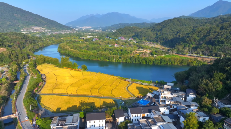 坐上火车赏稻浪，躺在民宿泡温泉！从化米埗村带你全体验｜粤来粤好百千万