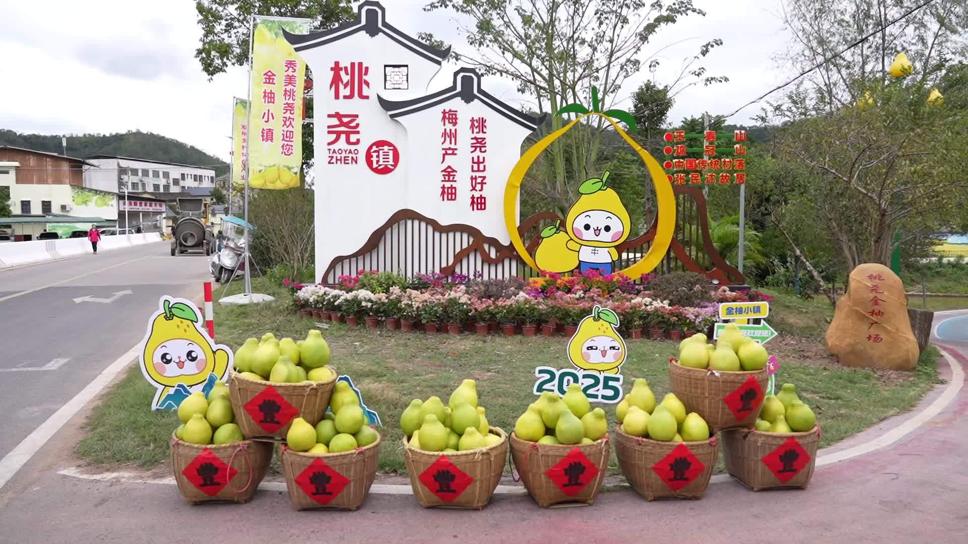 广东初步形成一批千亿、百亿、十亿元级乡村特色产业集群