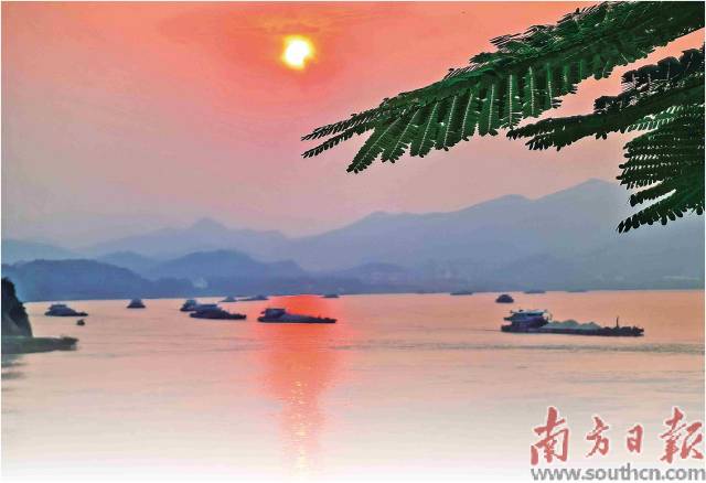 南方日报报道丨云浮西江 鲜货满仓