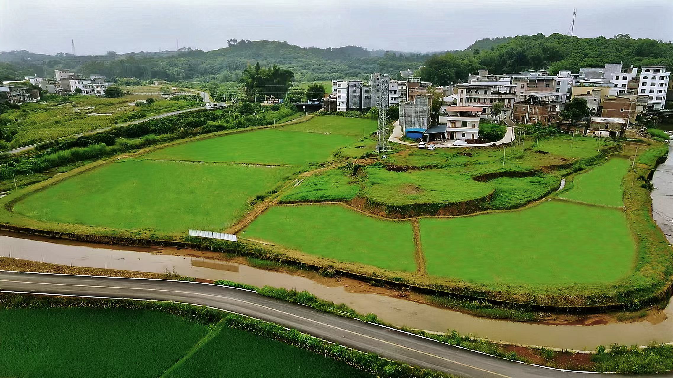 罗定市黎少镇：土地生金的“百千万工程”样本