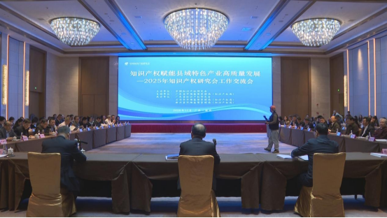 2025年全国知识产权研究会工作交流会在云浮新兴举行﻿