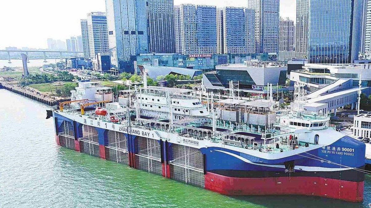 “湛江湾1号”交付！将驶向硇洲岛外海域，年产2000吨深海珍馐