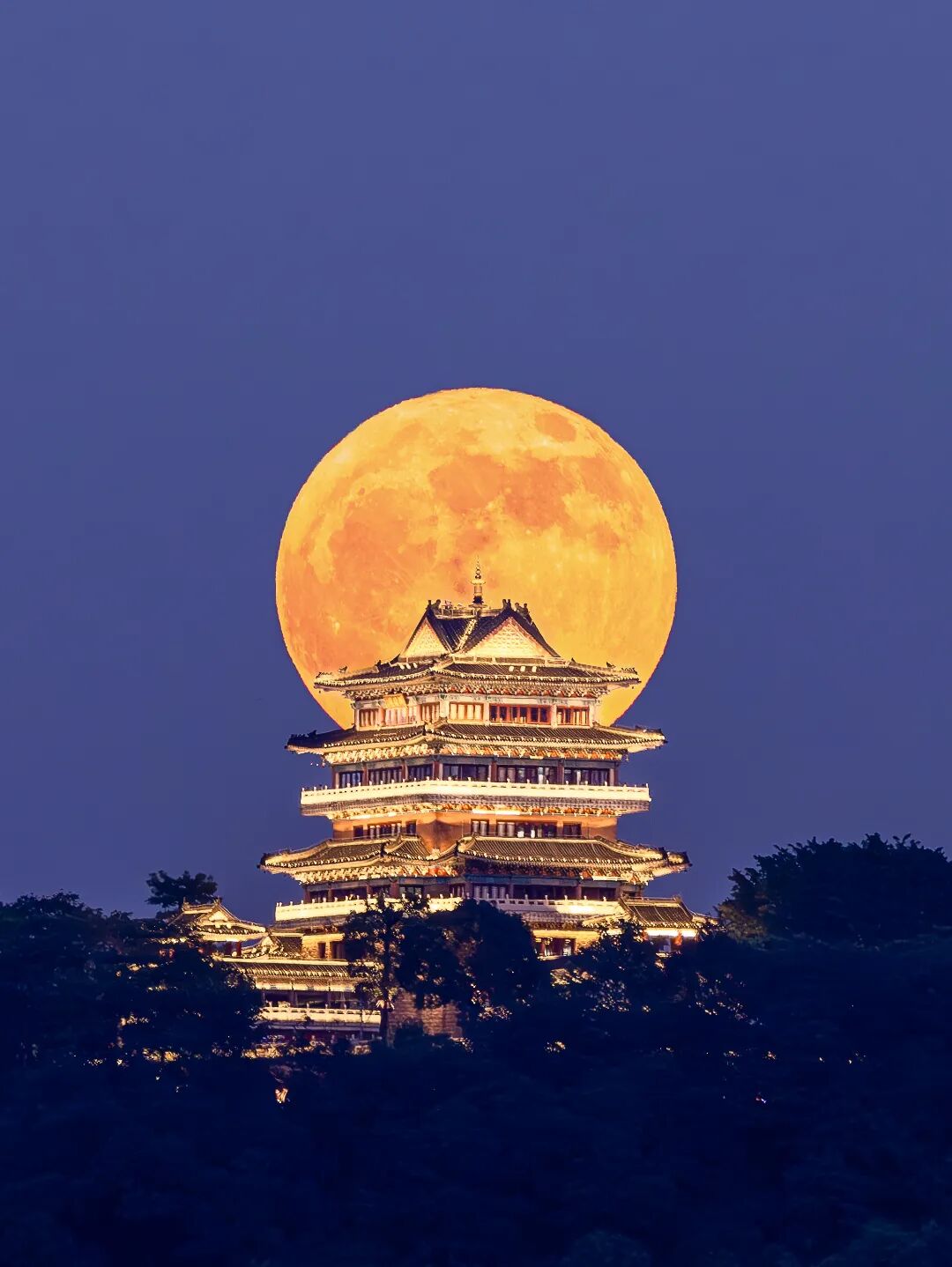 2098.披着狼皮的羊（1537）城里的月光1.jpg